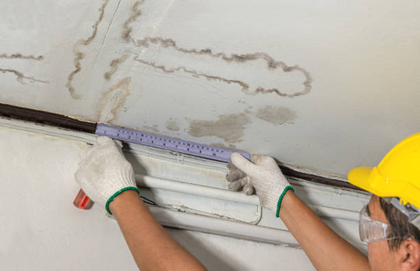 Reliable Water Damage contractor in Sulphur, OK by Water Damage Irwin